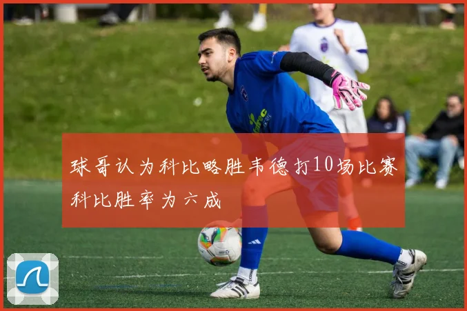球哥认为科比略胜韦德打10场比赛科比胜率为六成